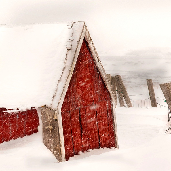 Blizzard Nordland, Lucia Creedon.jpg