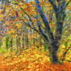 Autumn Woodland John Linehan - John Linehan
